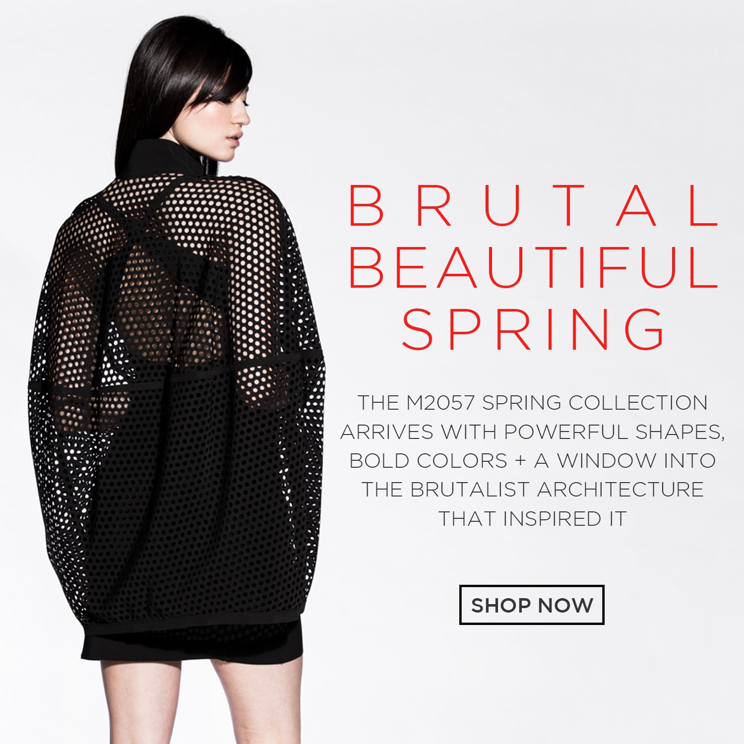 Brutal, Beautiful Spring