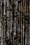 Abstract vertical pattern with layered reeds or grass-like silhouettes in black, brown, beige, and off-white, filling the full frame.